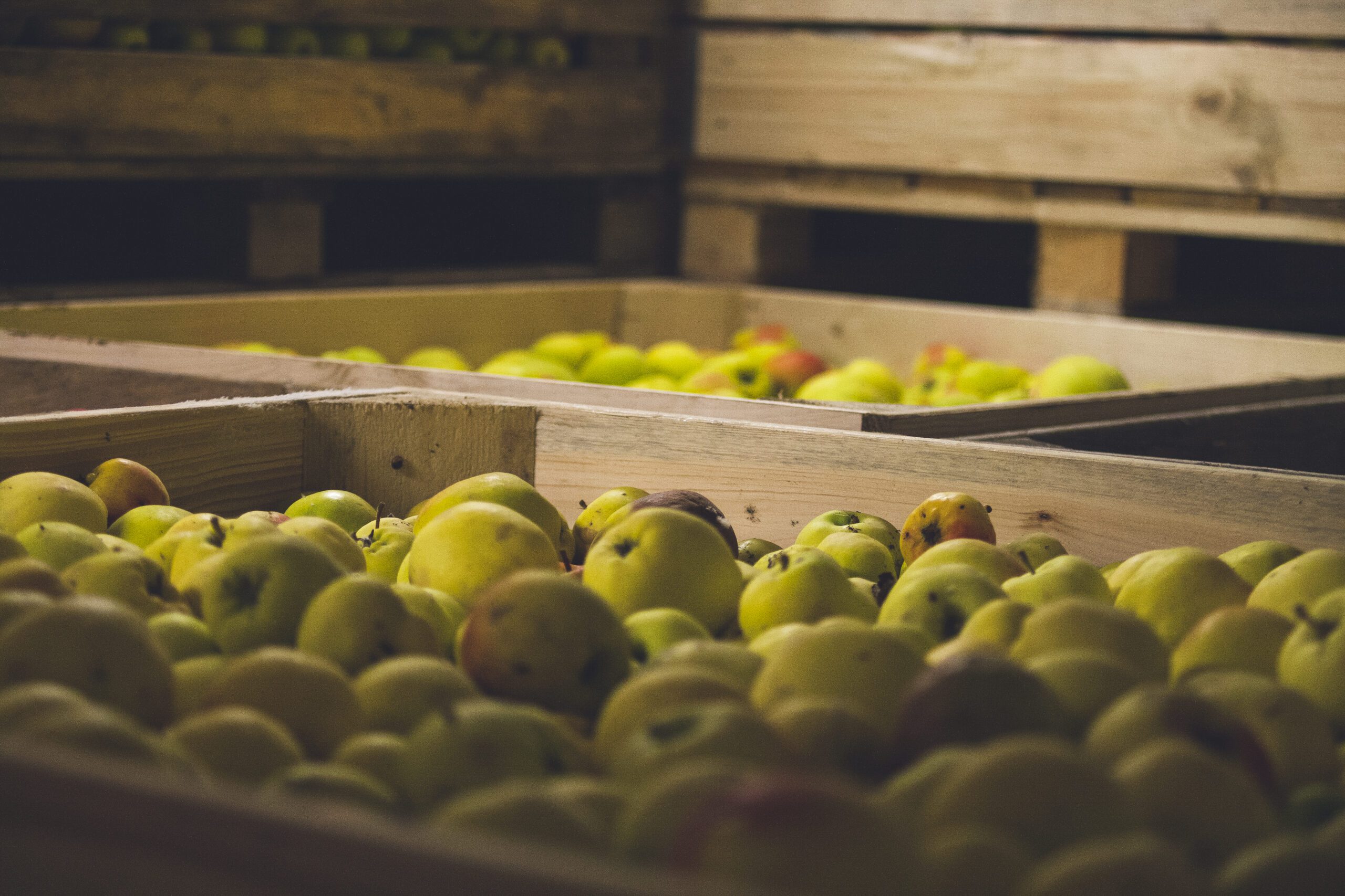 Kodas apples