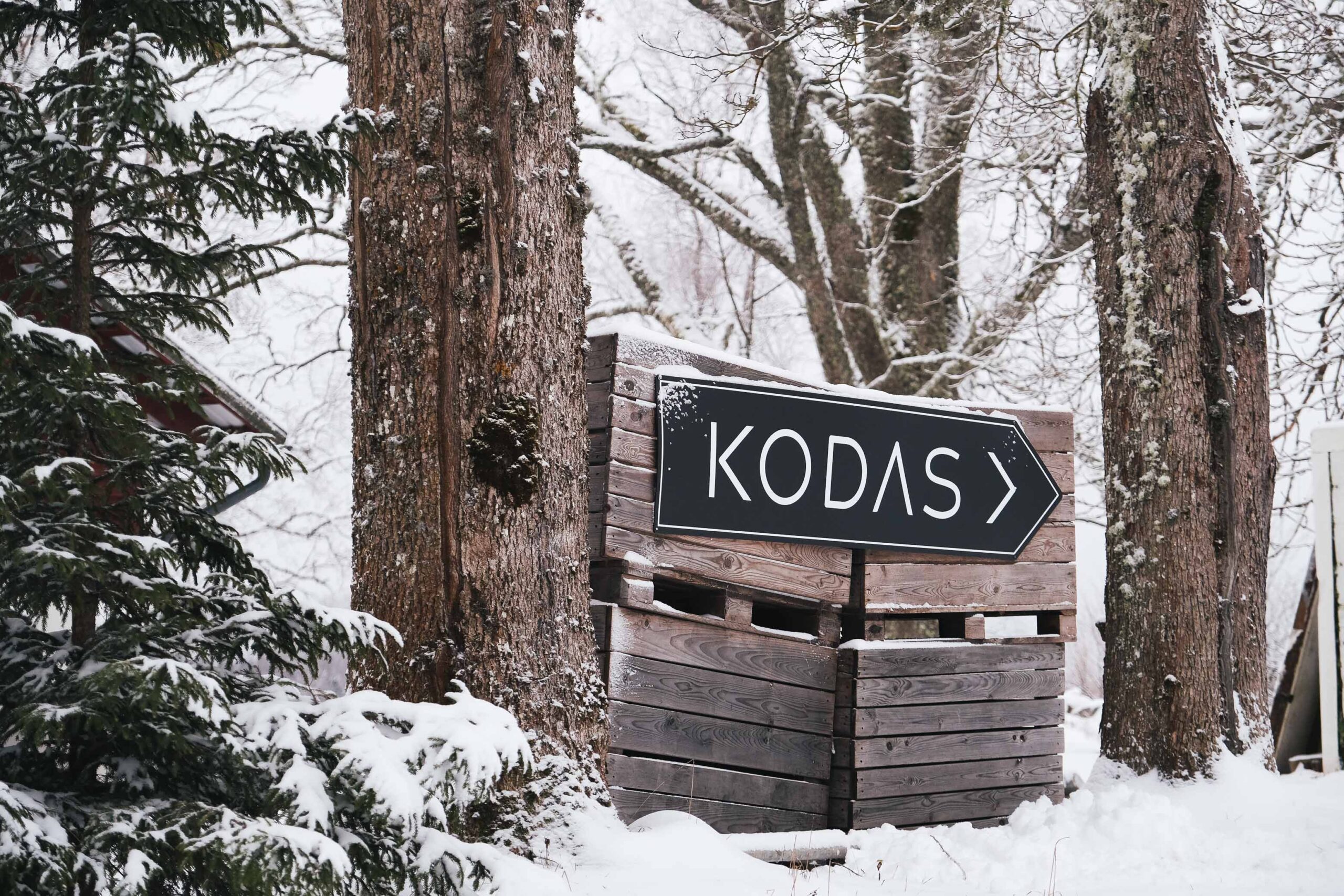 Winter at Kodas Factory